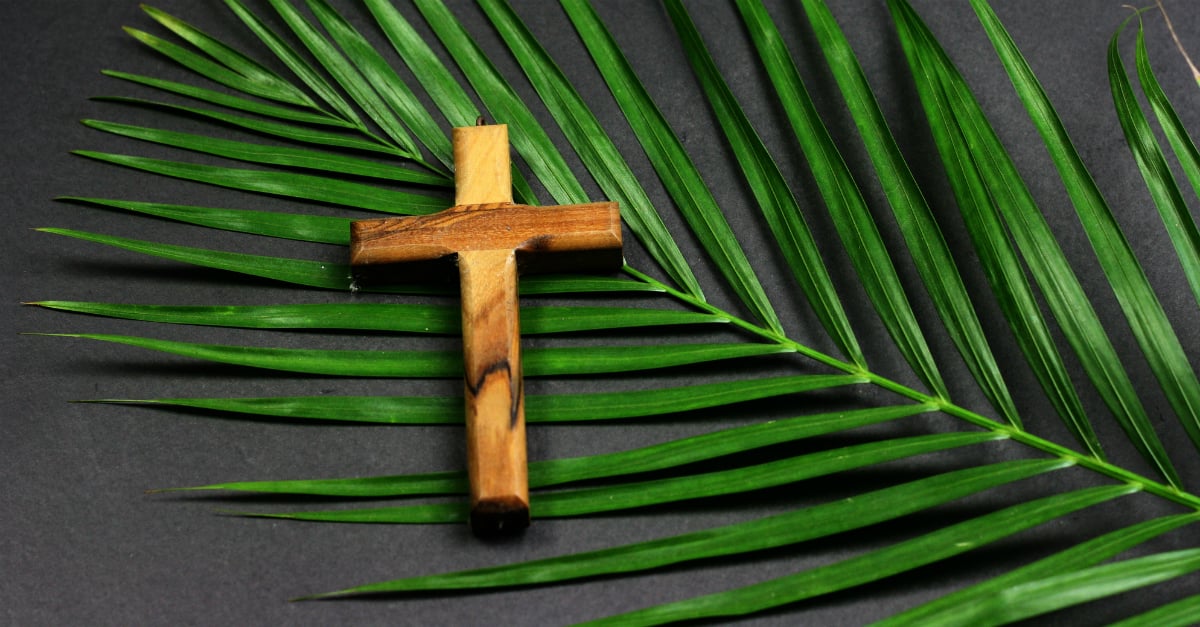 Palms and Cross